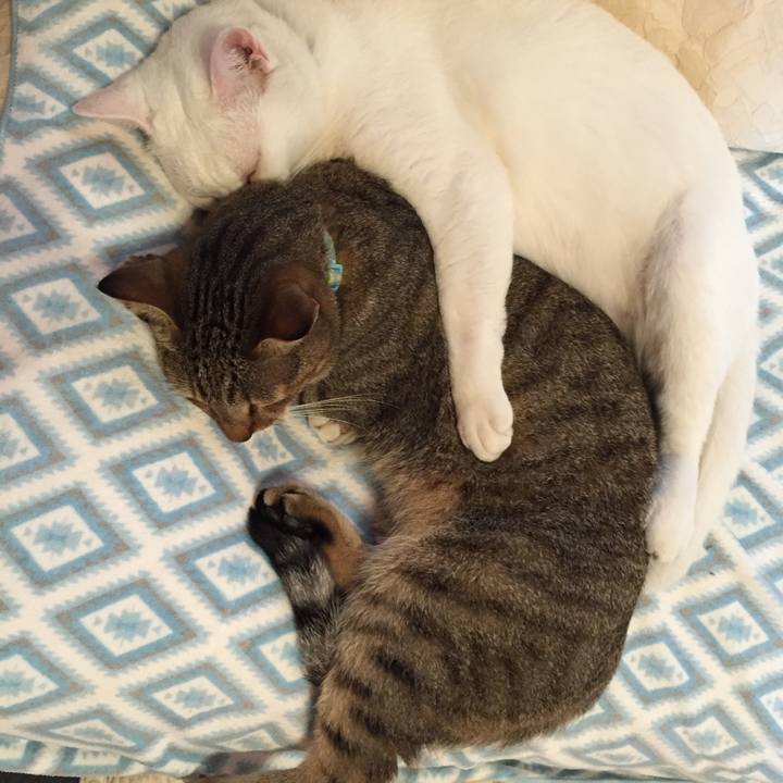 1f5eef92 7037 41f2 936b 632b88a4c5c7