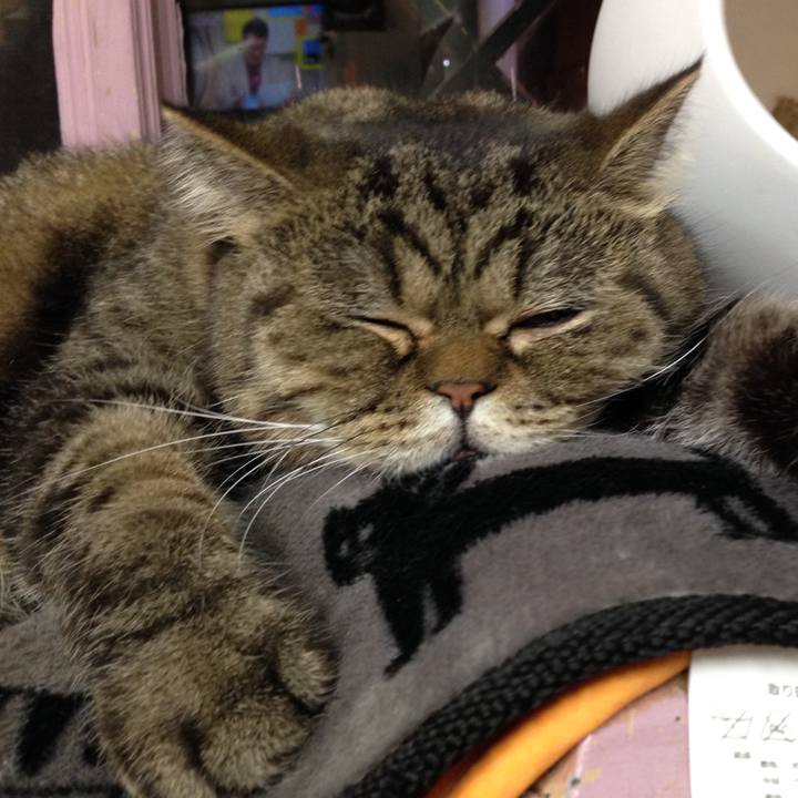 1f5f96ee 5abd 42c5 a930 27bc0bb378e3