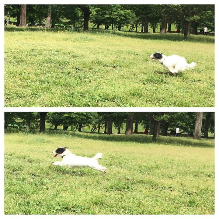 1f60adf5 4584 4c9a a1f6 f194add11111