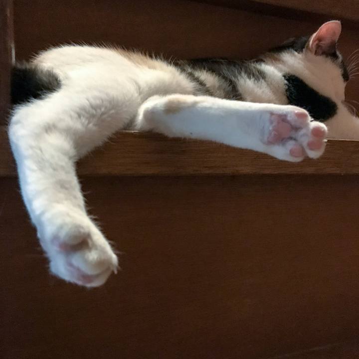 1f60b5f2 9a6f 4036 9e3b e08cd88a8ee0