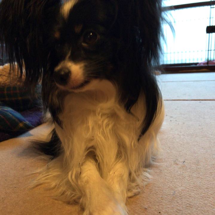 1f60be17 a771 40e7 9faa dbede8f16c42