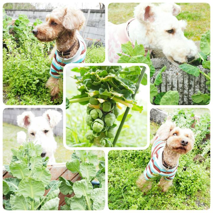 1f625ca3 332e 4019 8ffc 86020818f068