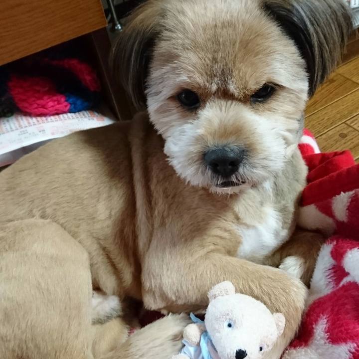 1f63036c 8cd5 41cf bdd6 971544900d63