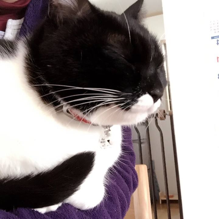 1f630a21 32a1 49f2 8297 9addbf23dc05