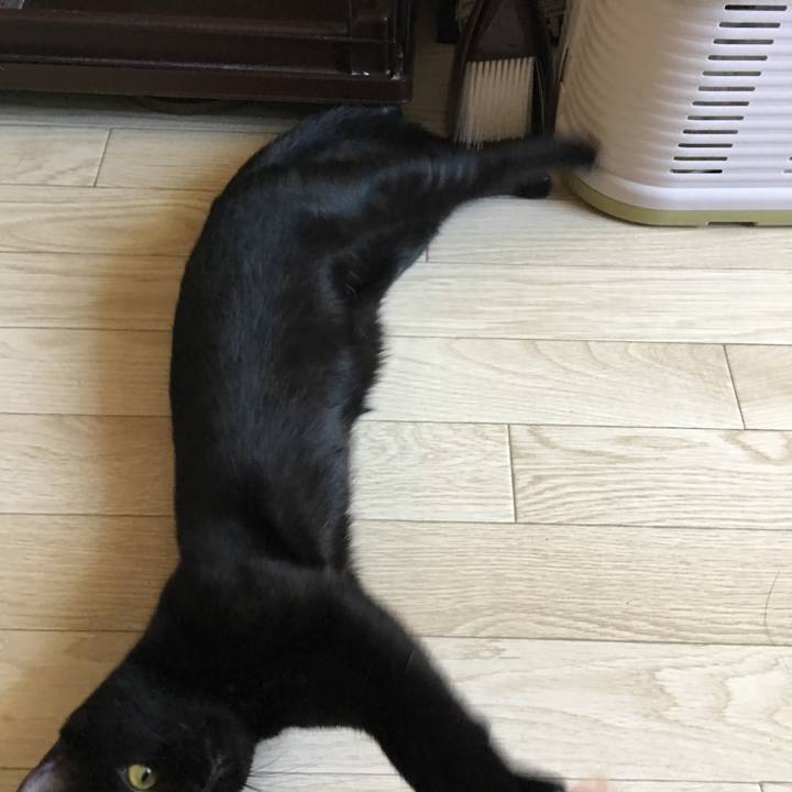 1f635b2b feda 4f39 9b3b 8b0fdb3c08e3