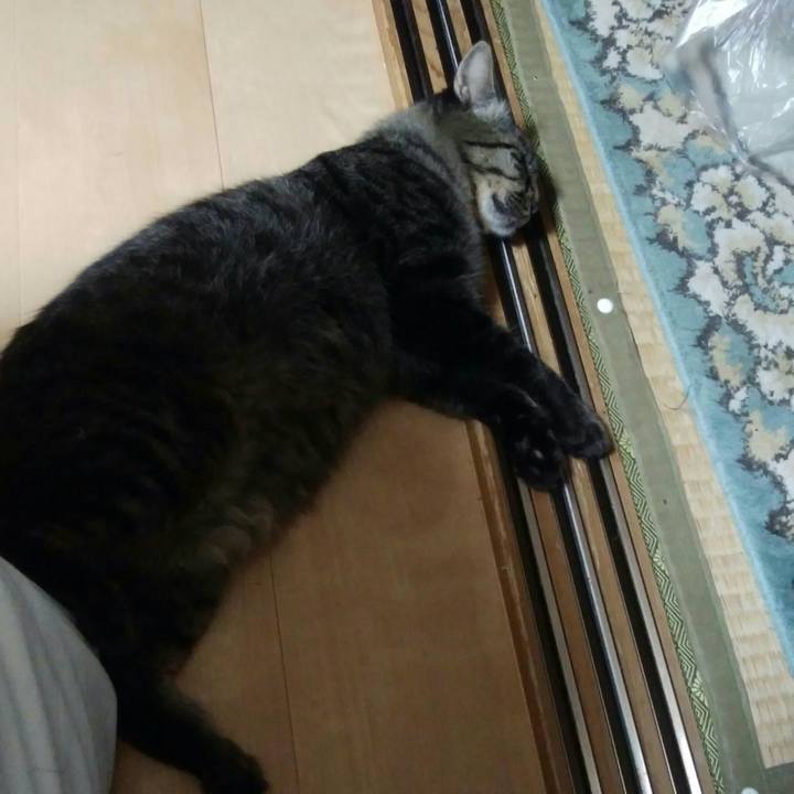 1f64720b dcfb 4dbb 8e0c b1d48a31d462