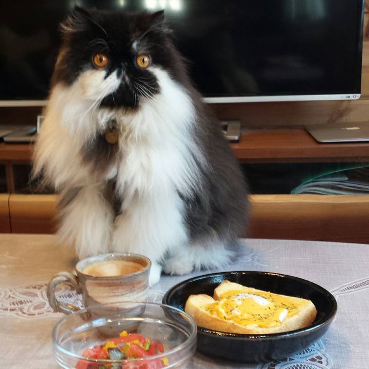 1f64ebde 602b 463d a29a 0b1f611d852c