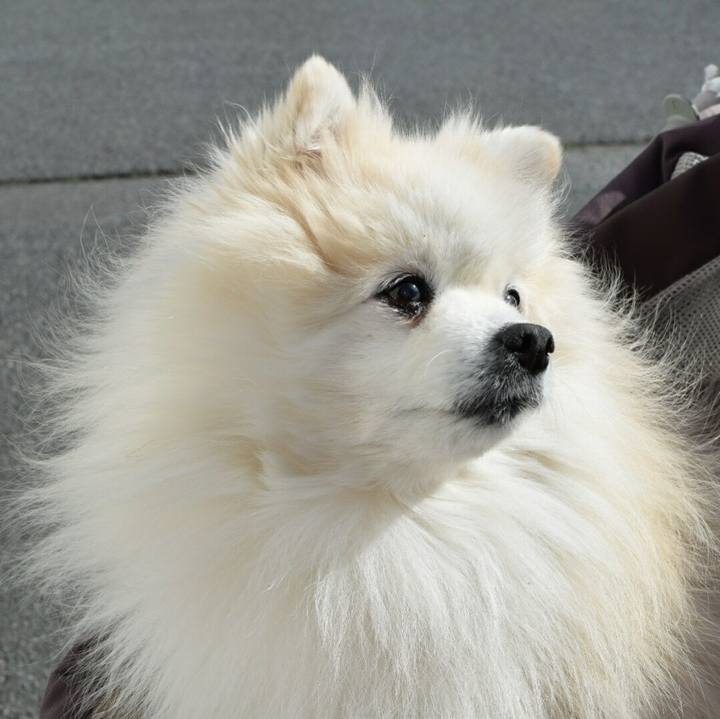 1f650202 4745 42b3 b954 49a8dfedd46f