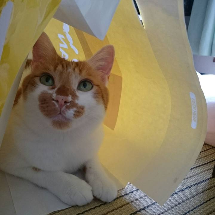 1f650f08 8f9d 4727 91bb 2705b2dab93d