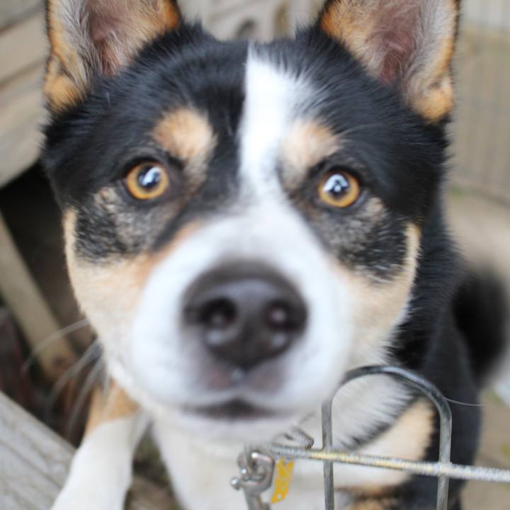 1f652a27 28a2 4262 bc12 a78fb128ab54