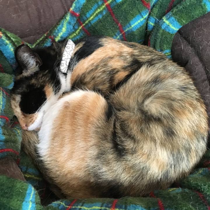 1f654468 0b55 464e 83e9 af9fa1fe4d32