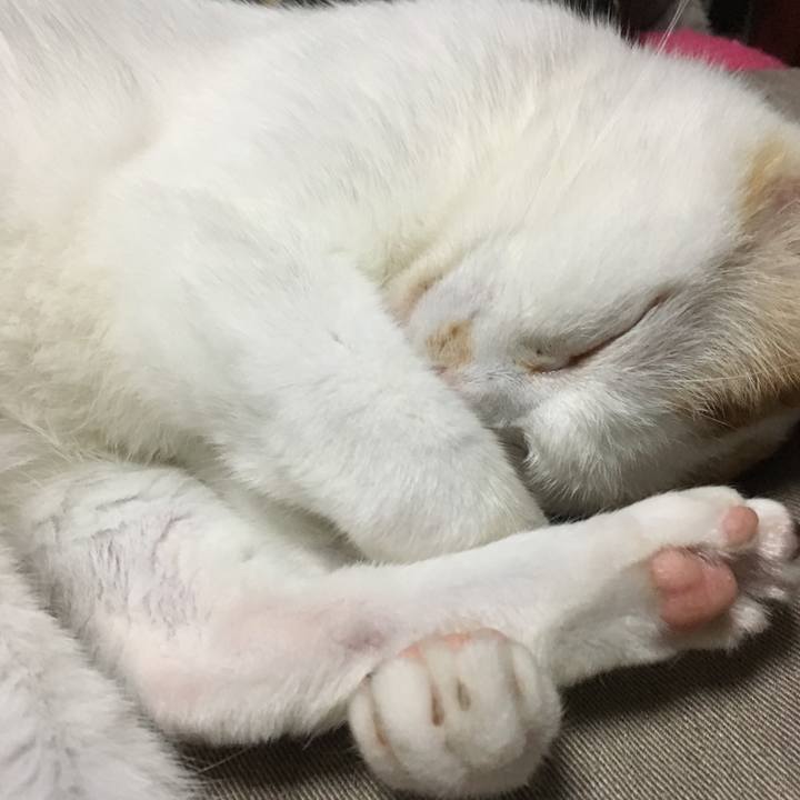 1f65b039 c420 43b1 a393 ce0d56d90aee