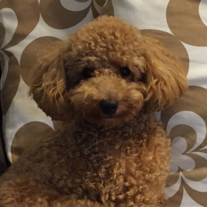 1f65cc27 19fe 4dd2 8306 ab63285cb44a