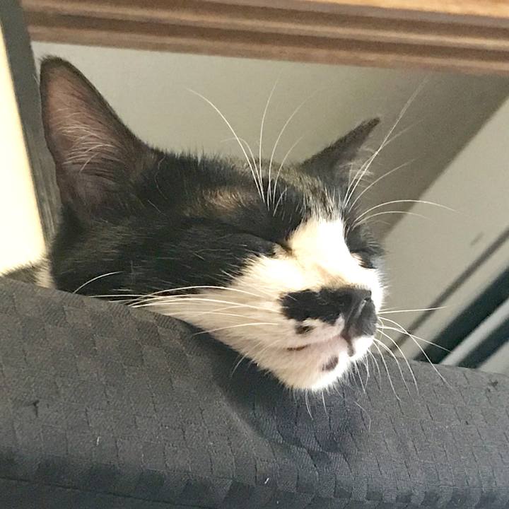 1f65d971 a5f4 44af ab41 643484c69487