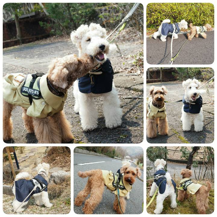 1f65f58f 984b 4f01 a4a1 915f79880d60