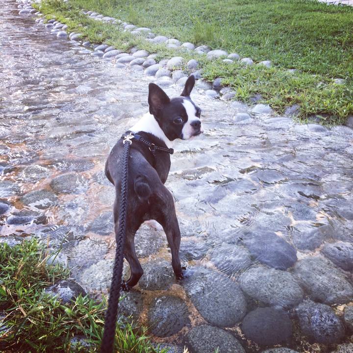 1f6627c6 8e55 43dc ace1 3b6244c3621b