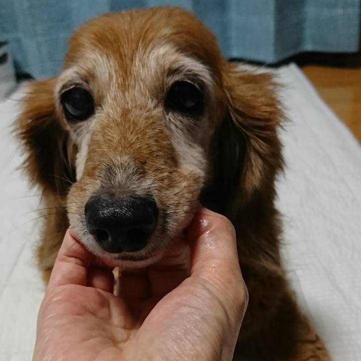 1f662817 f54f 43c8 8650 b0e8710f0e52