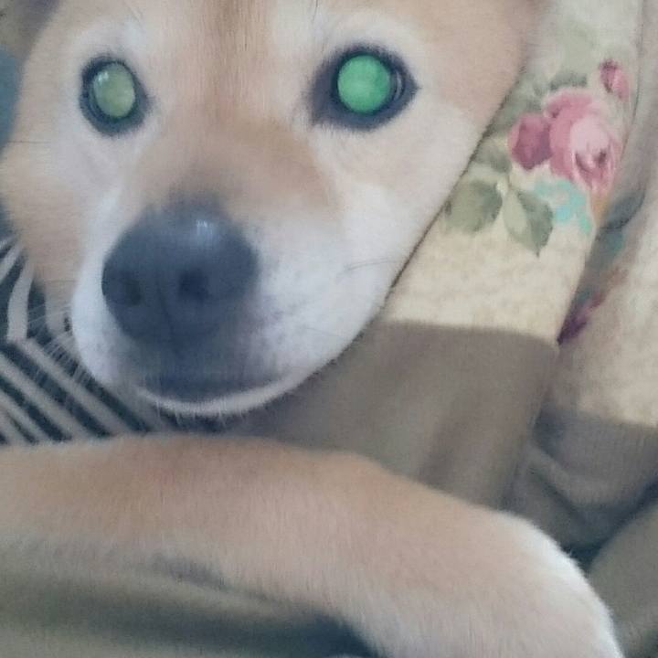 1f665025 3eb5 4b07 8e89 1196b5ed07bb