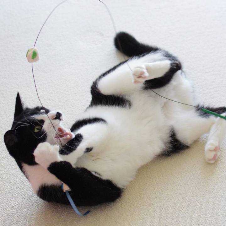 1f6679b7 cd20 44ed a2e0 1e68c7bf7646