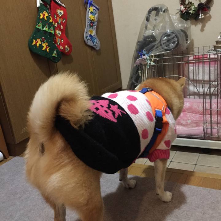 1f6718ac 5f93 47bd ad85 b017df69b396