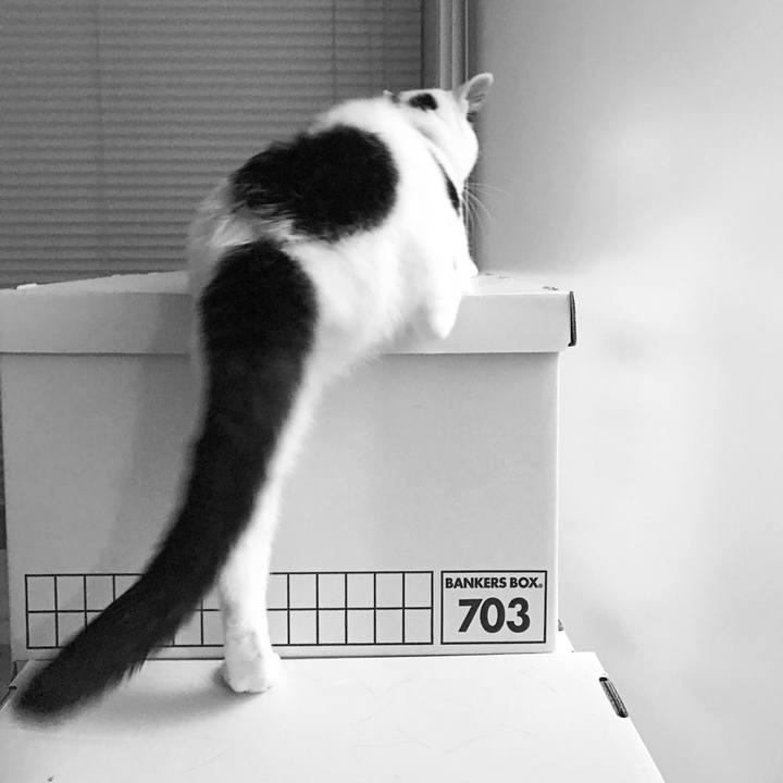 1f676262 93c0 445d b041 027e22705f62