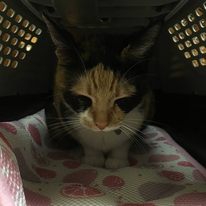 1f680b51 d4cf 4541 a16c 2cbb1e430772