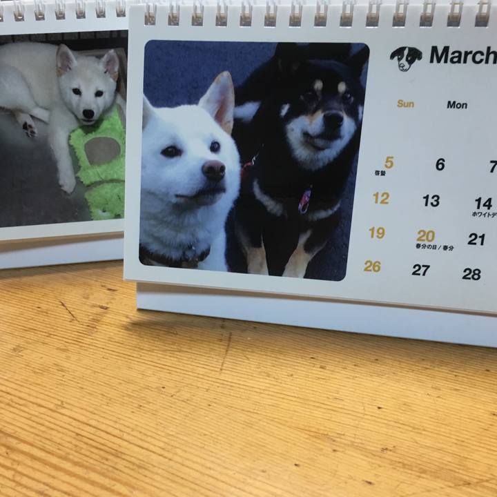 1f683093 24ee 4a20 b5e4 f70536f04e1d