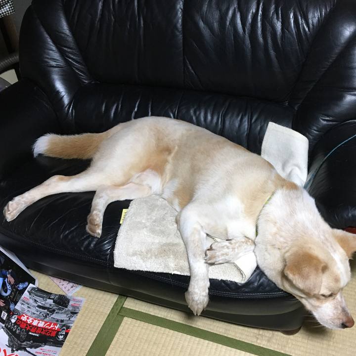 1f685494 1e2e 40c1 b8e2 c5ac14f7a8c7