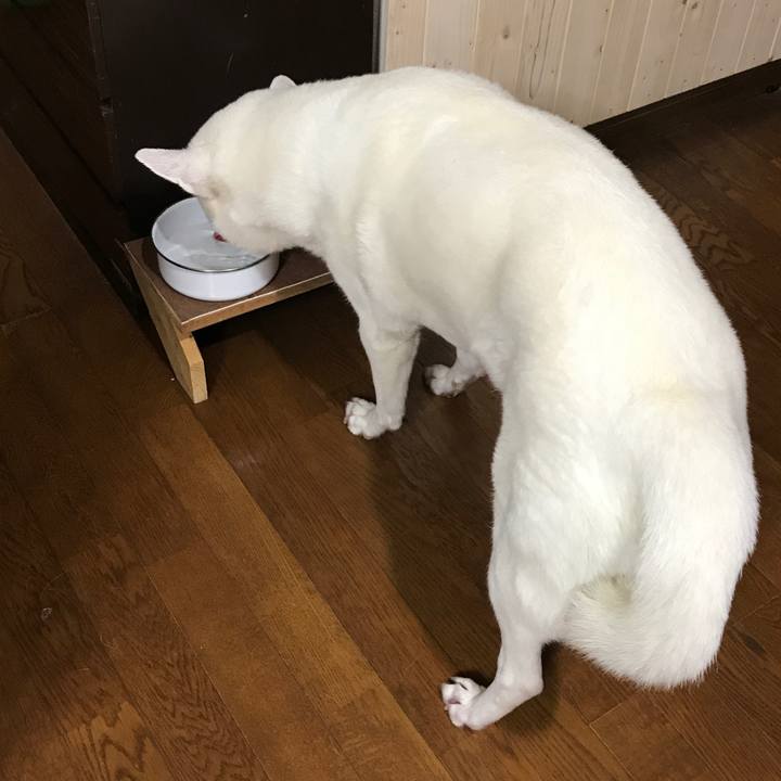 1f686918 a124 4f0b a6db 382e64834201