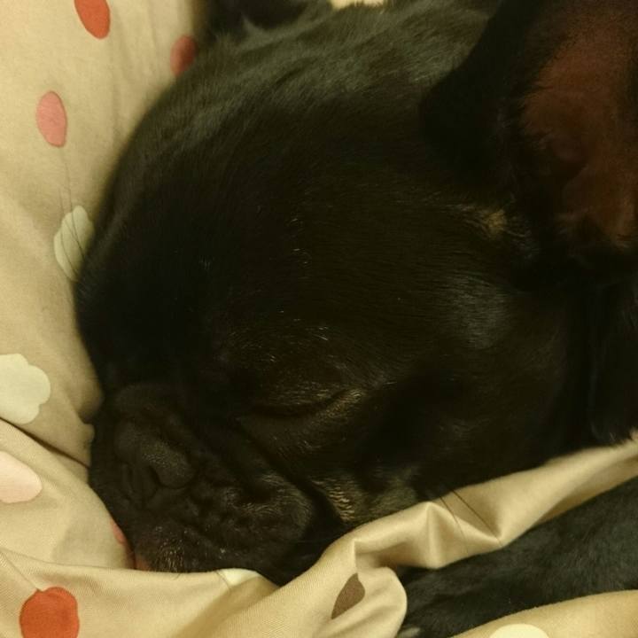 1f696573 4353 4f3f b360 f3dba3cee40f