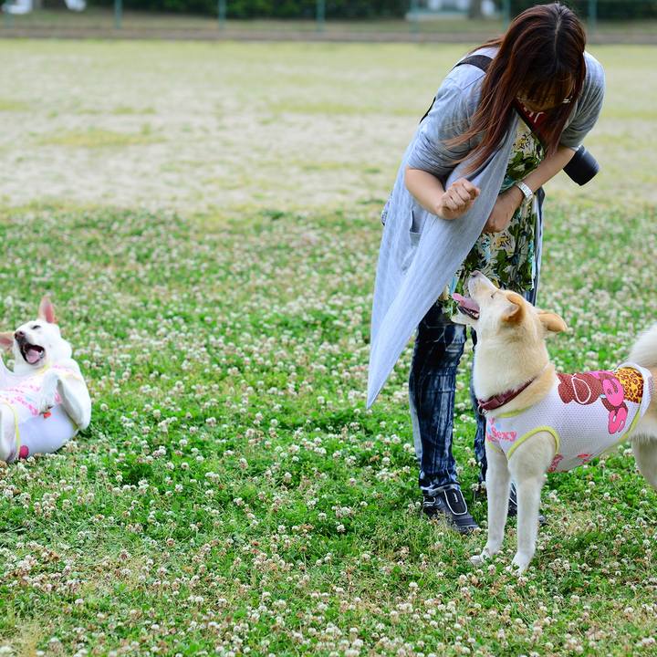 1f69f2bc c6f3 4146 8ed3 c8c72014b7c8