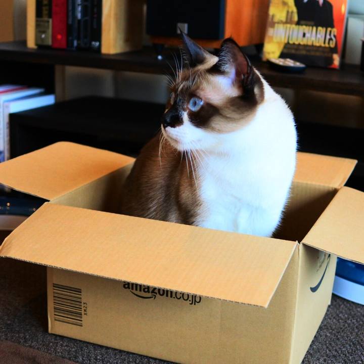 1f6a8380 1500 4916 b318 68545abcb775