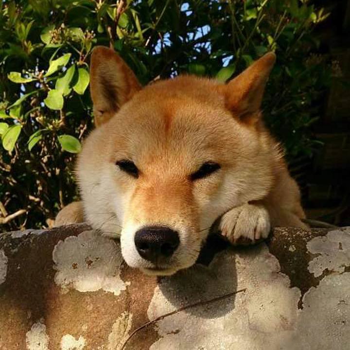 1f6c8328 9380 4680 87c0 64d64e2a04ef