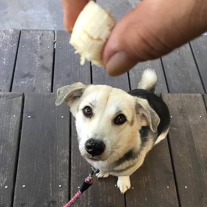 1f6cbcd7 717d 432a b204 15f10e2ae411