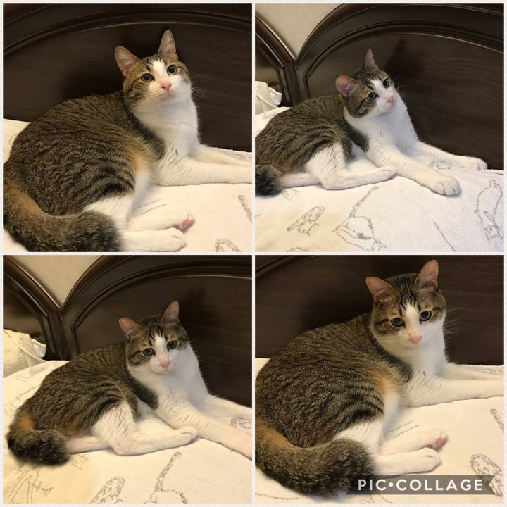 1f6cc09e e897 4453 baeb b96af59f291c