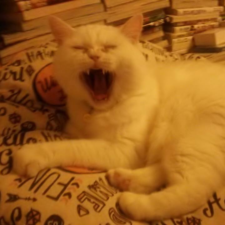 1f6cf0d0 3f06 4a0b a2a6 97dfb342e077