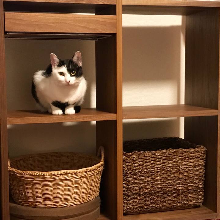 1f6d1b22 7843 4d62 a672 d412dd7757d5