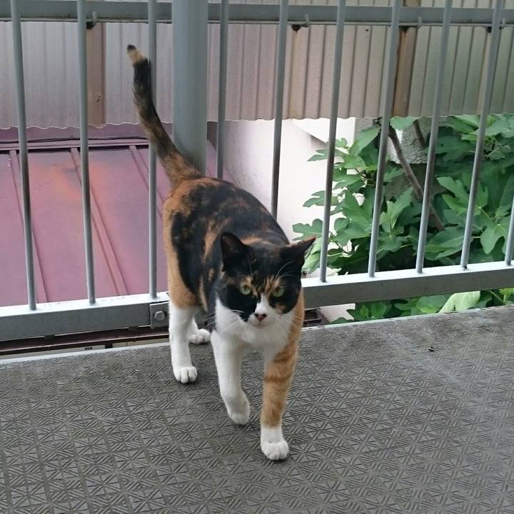 1f6d569e 87ed 416a 862c 0e33b71c4c16