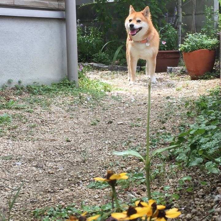 1f6df720 470f 42b6 b1be fcbb26f4819f