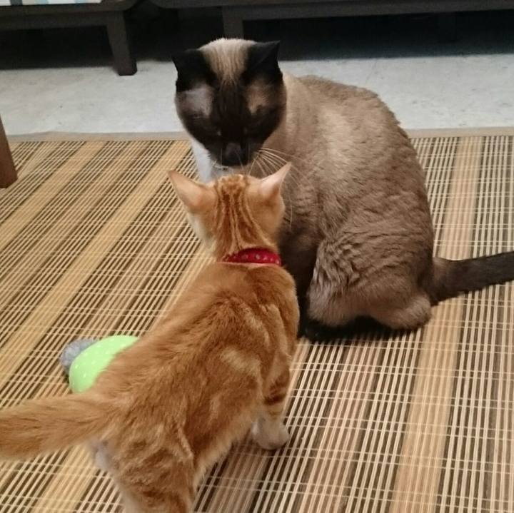 1f6e6388 b9a0 422a 8ea7 f744e3ef9d7a