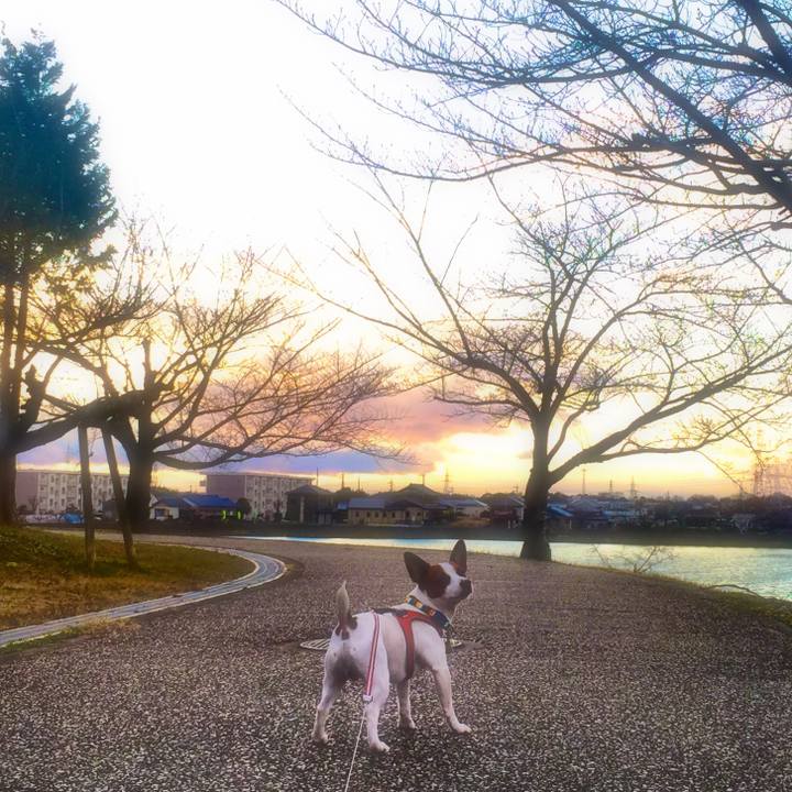 1f6ed73e 7ae1 44d0 b93f f8fa65a51572