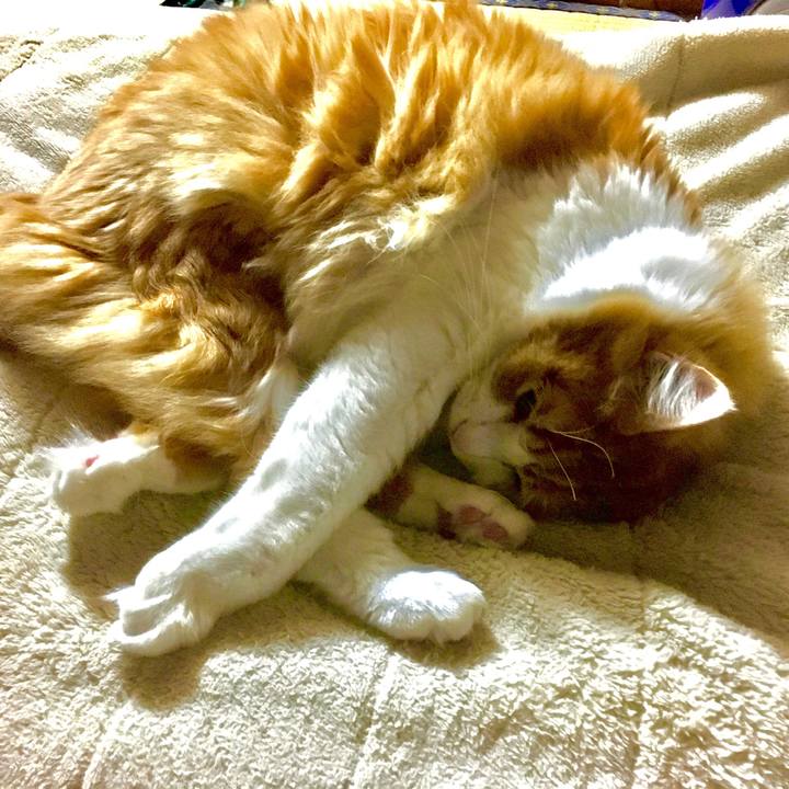 1f6fa3d5 bb57 45fd b327 e5e5fc647be5