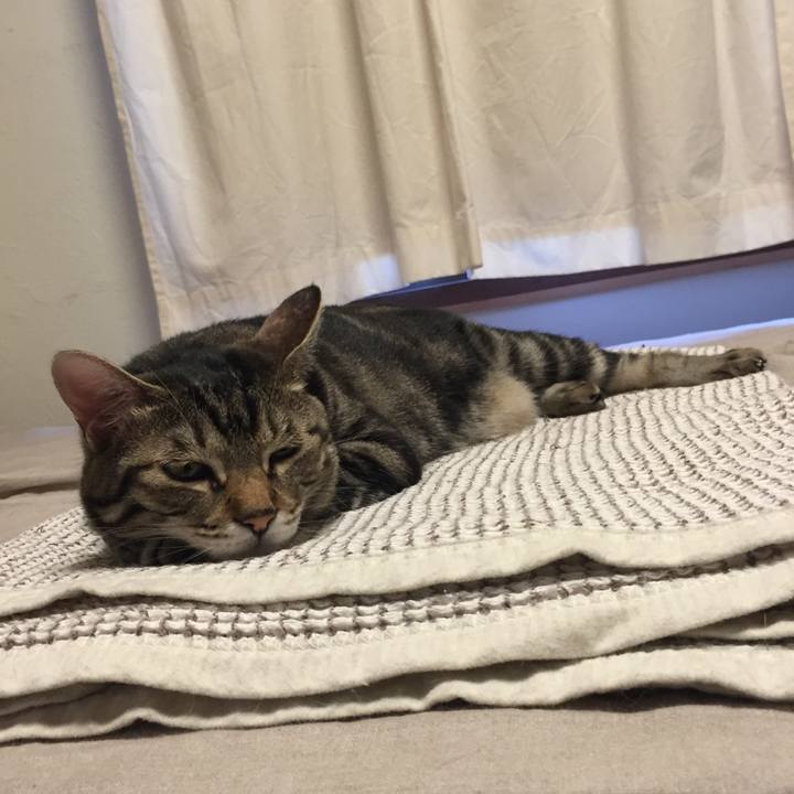 1f6fb147 4d90 43a6 949c 971e8ad73d29