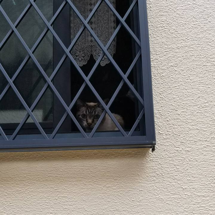 1f6fc377 3bcd 4a4a 9d7c 4ea929737362