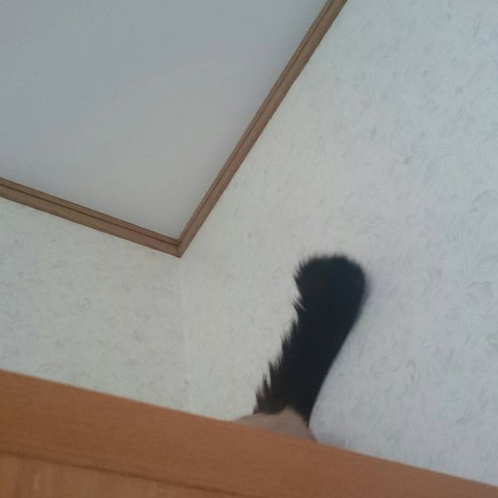 1f6fe1d2 5fec 47fc a4f6 e01a16cf79a3