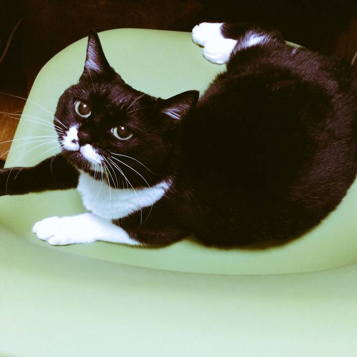 1f7066b1 ade7 4867 b6f4 e384134514d1