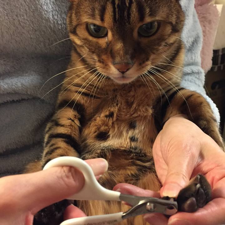 1f7089a3 b100 4085 aa70 c91e9b75e11d