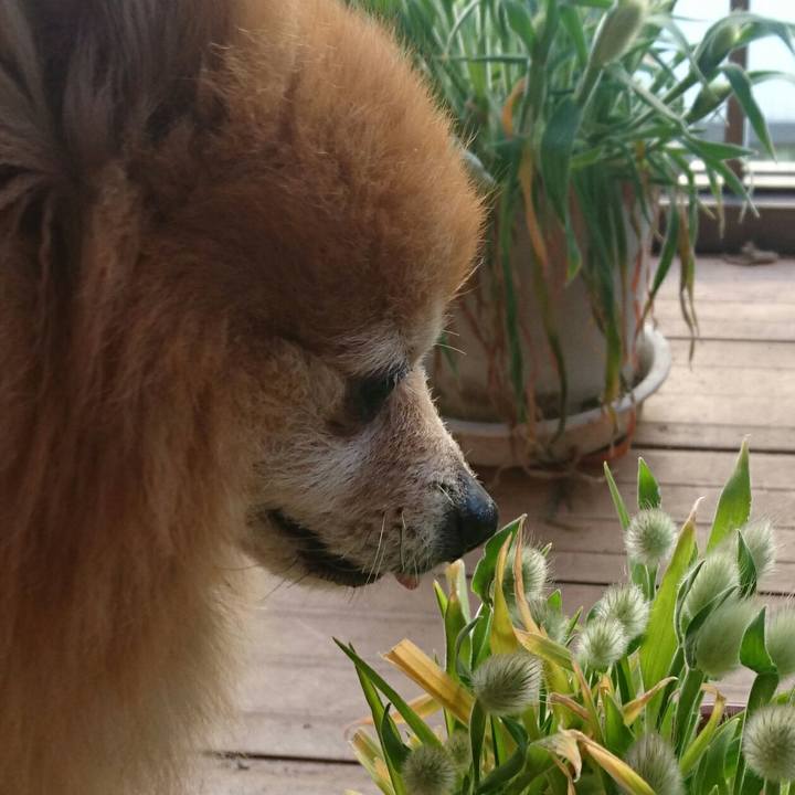 1f714f0b e813 402b ab0f c4722d57c26c