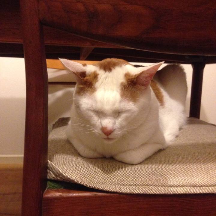 1f71558e 5047 408e 95ce add8ed337b3a