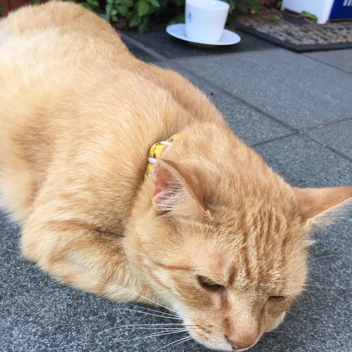 1f717f38 9e9a 4e9f 90aa 56d6ae3ea4bc